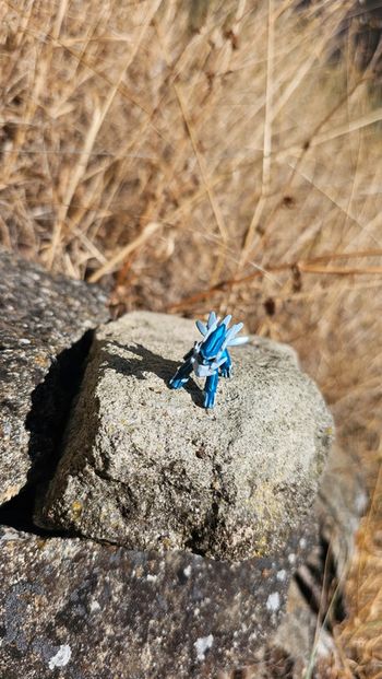 Super petite figurine Pokemon Nintendo Dialga