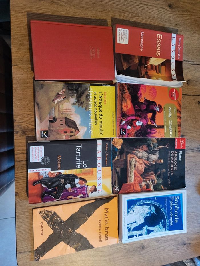 Lot de livres littérature classique