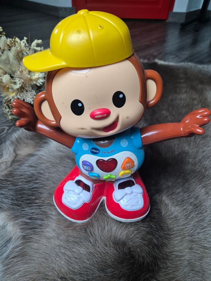 Singe Titi Ouistiti - photo numéro 2