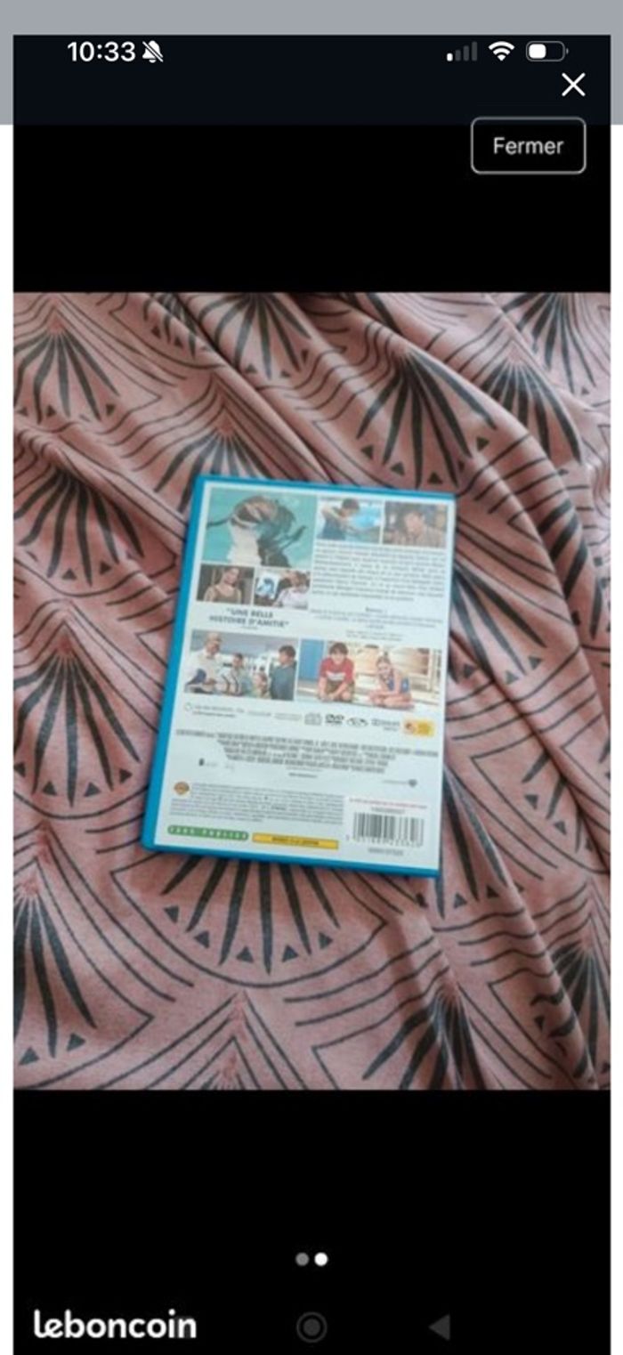 L’incroyable histoire de winter le dauphin - photo numéro 2