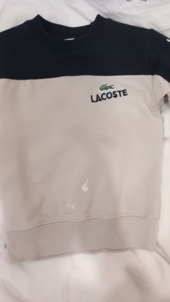 Ensemble lacoste - photo numéro 3