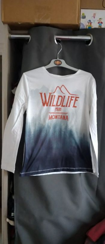Tee-shirt imprimé montagne blanc garçon 10 ans kiabi
