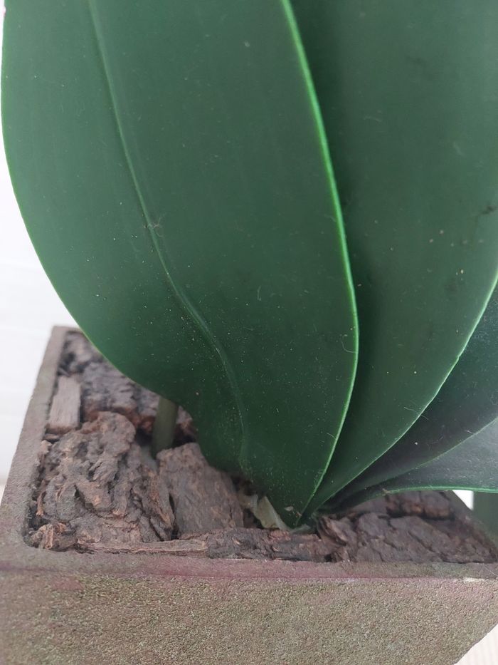 Orchidee artificielle - photo numéro 3