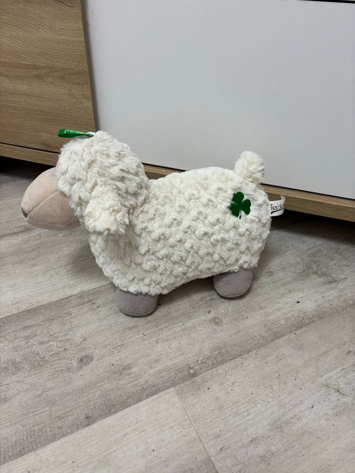 Mouton irlandais - photo numéro 3