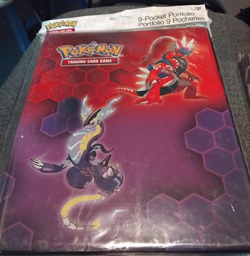 Portfolio modèle miraidon koraidon