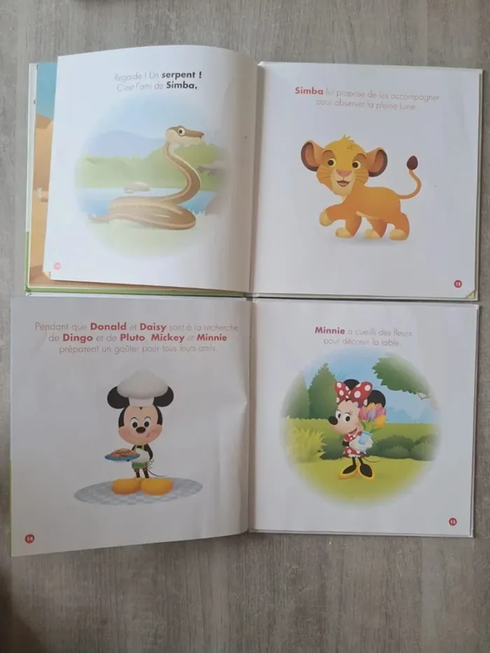 Lot de livres joue et apprends Altaya - photo numéro 4