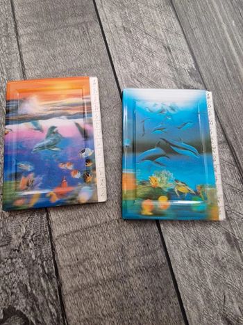 Lot de 2 mini répertoires