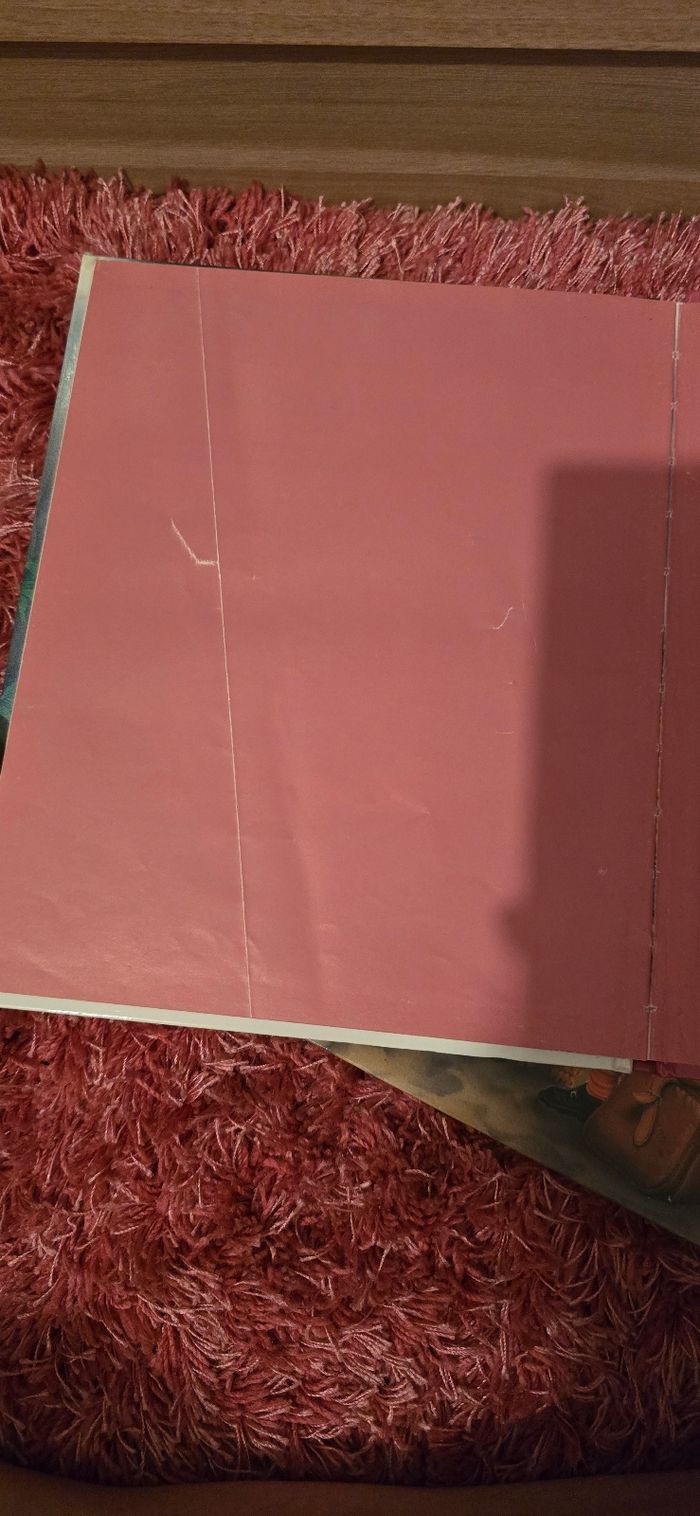 Lot de 3 livres Martine - photo numéro 8