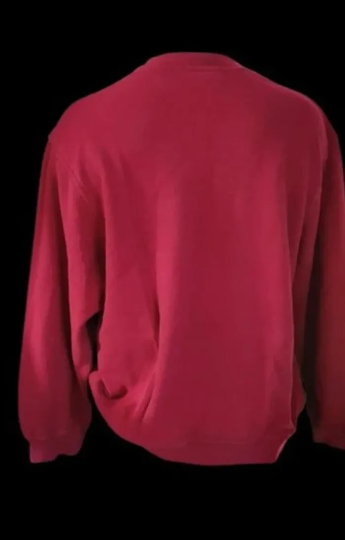 Sweat homme Lacoste 4 - photo numéro 3