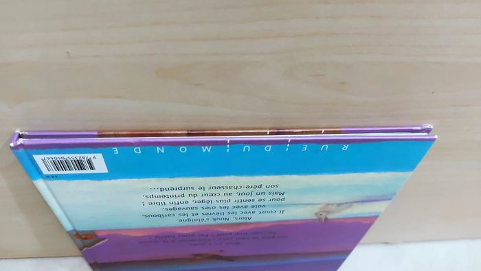 📚 Livre : Nouk qui s'envola - photo numéro 7