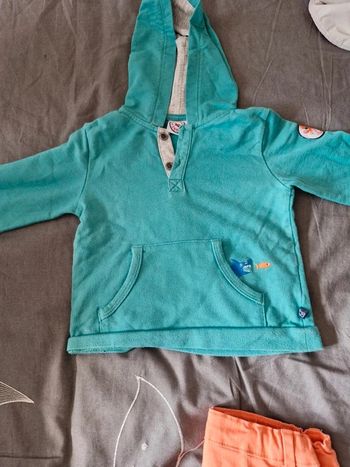 Pull poissons