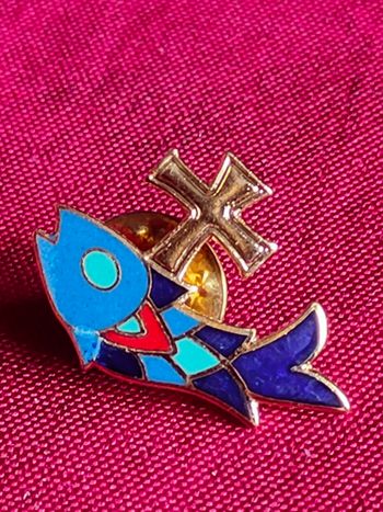 Pin's poisson 
