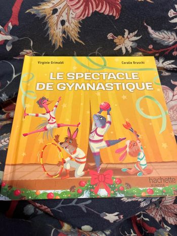 Le spectacle de gymnastique
