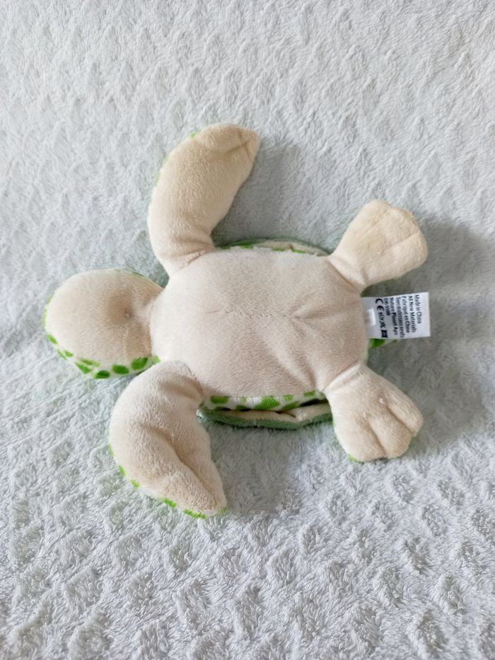 Tortue Nature Planet - photo numéro 3