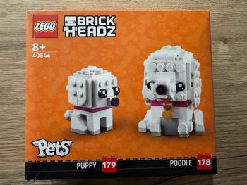 LEGO 40546 : Les caniches