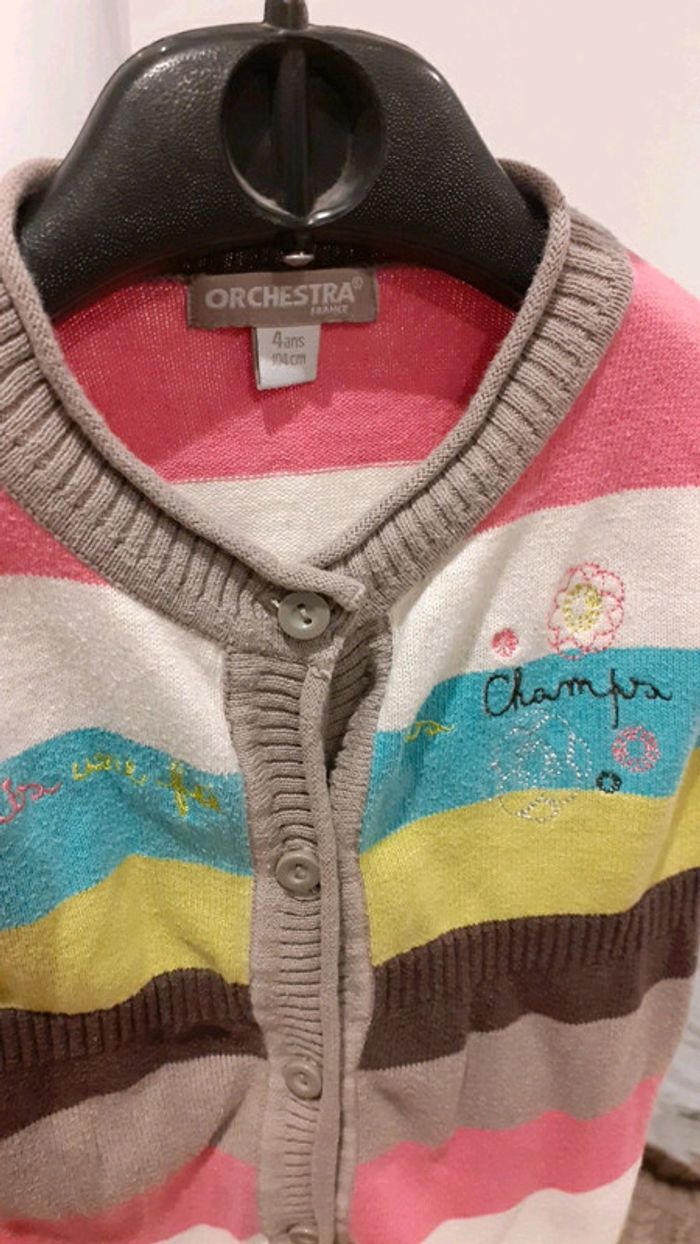 Gilet rayé  multicolore - photo numéro 2