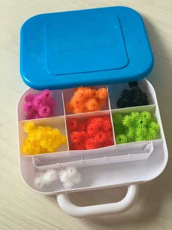 Valisette Bunchems