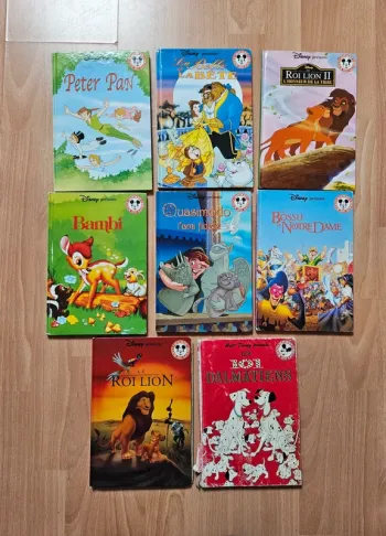 Lot 8 livres club du livre mickey disney