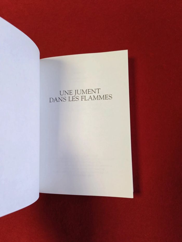 Cheval fantôme Tome 3 " Une jument dans les flammes " Terri Farley - photo numéro 7