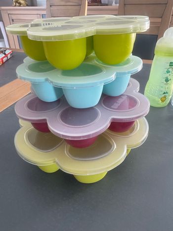 4 Moules en silicone pour petits plats de bébé BEABA