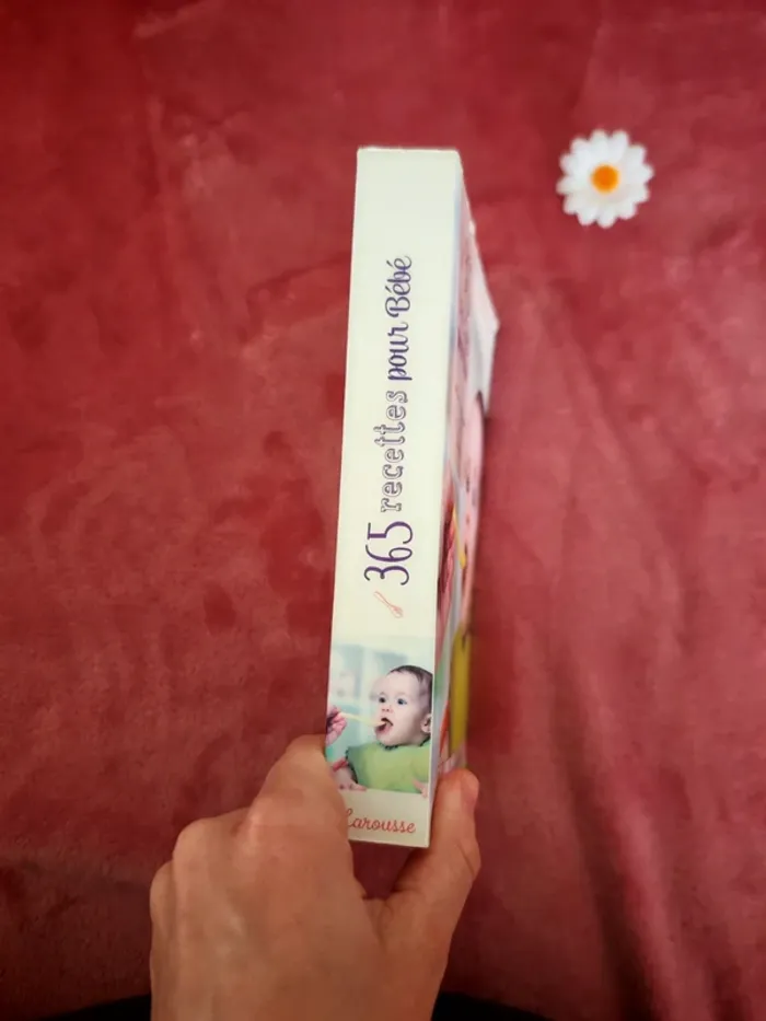 Livre 365 recette pour bébé - photo numéro 5