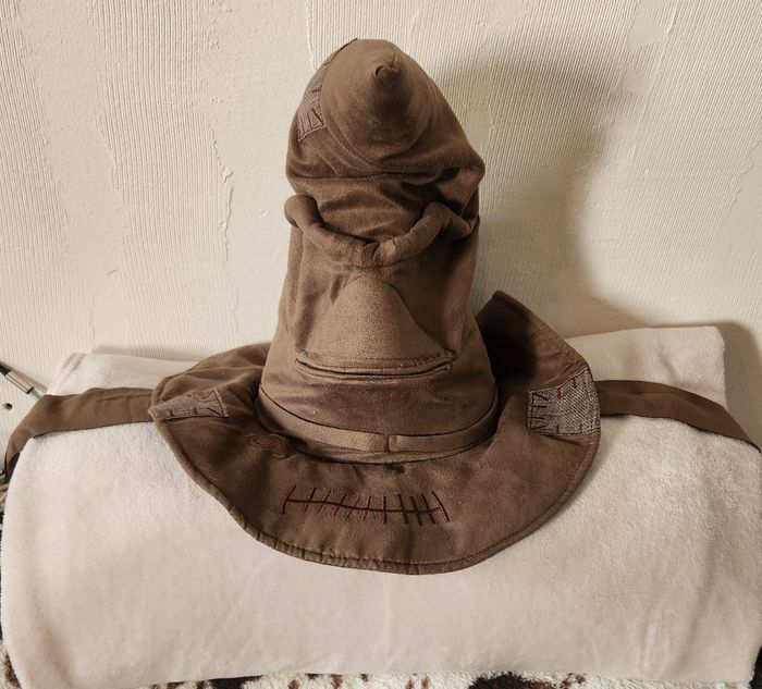 Chapeau interactif harry potter - photo numéro 2