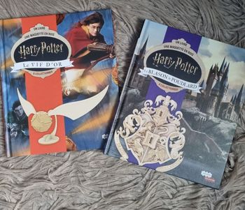 Lot 2 livres Harry Potter