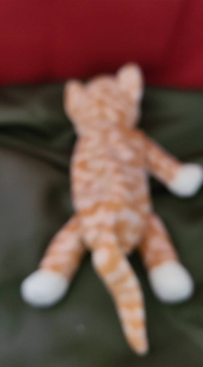 TY Beanie Babies 1999 AMBER Le Chat Kitty Tabby - photo numéro 5