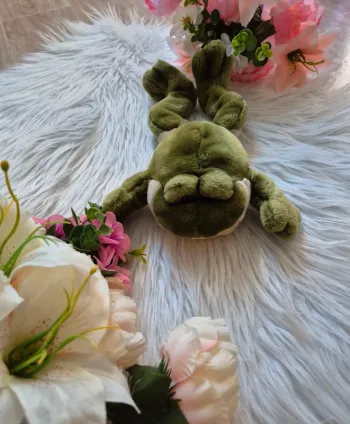 Peluche grenouille