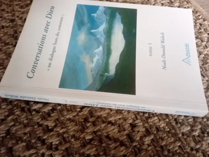 Conversations avec Dieu Tome 1 - photo numéro 7