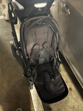 Assise cybex gazelle