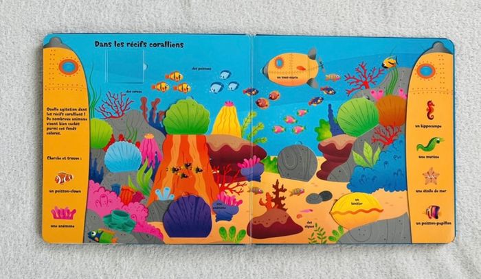 Livre enfant Cachettes secrètes Les océans du monde - photo numéro 4