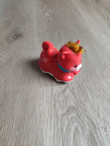 Paprika le bébé chat