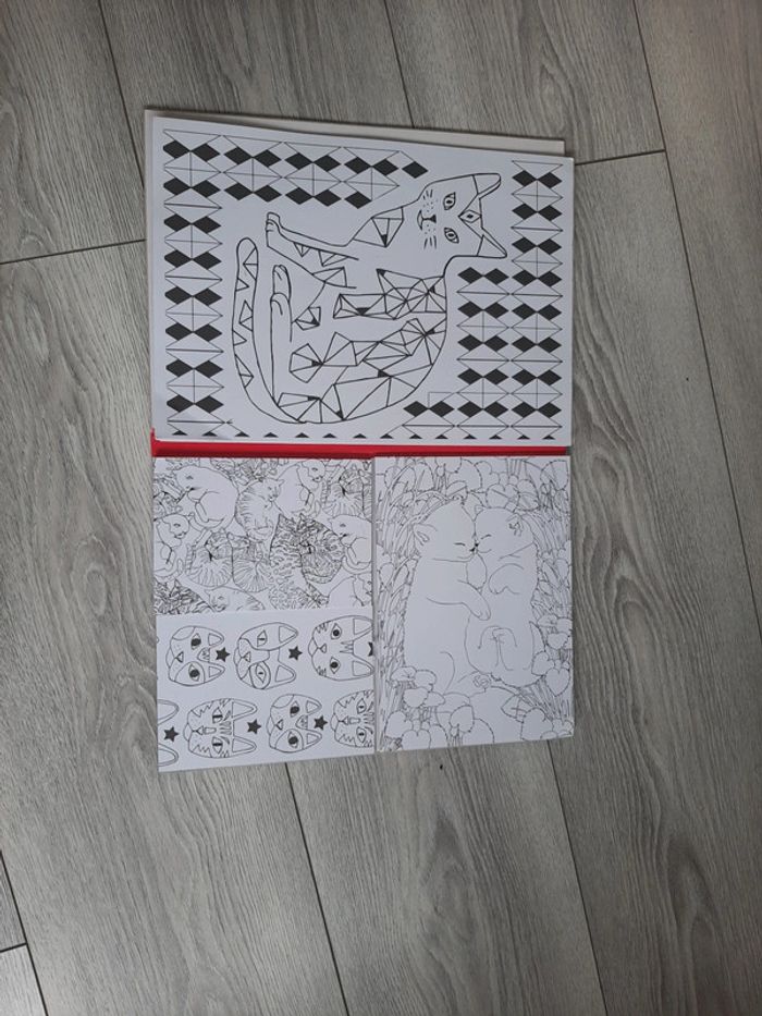 Coloriage chat - photo numéro 3