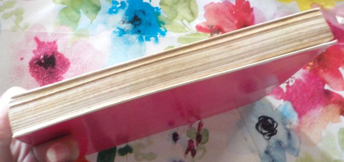 INITIATION SOLAIRE RAMIQUE RESTITUEE par André COTTY - photo numéro 5