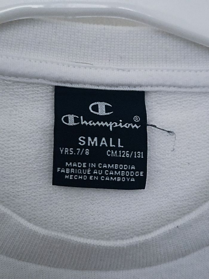 Pull champion - photo numéro 3