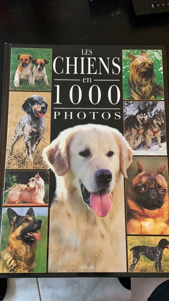 Les chiens en 1000 photos