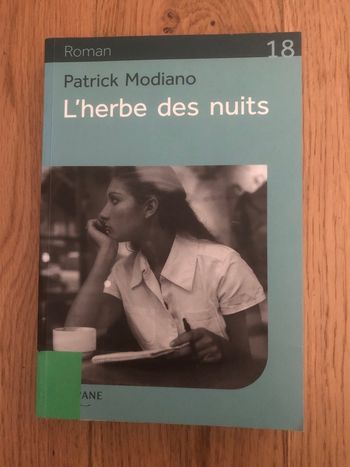 L’herbe des nuits - Patrick Modiano - L’ivre en gros caractères