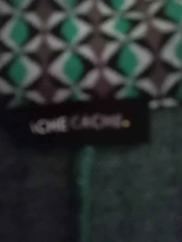 veste cache cache - photo numéro 3