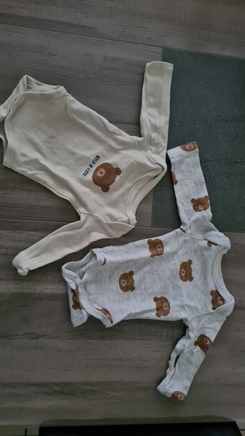 Bodies