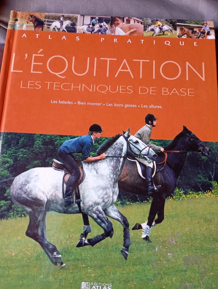 L'équitation les techniques de base