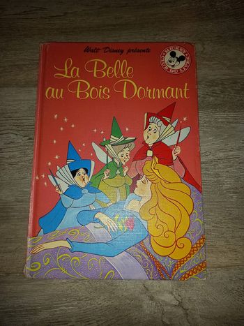 livre la belle au bois dormant de disney
