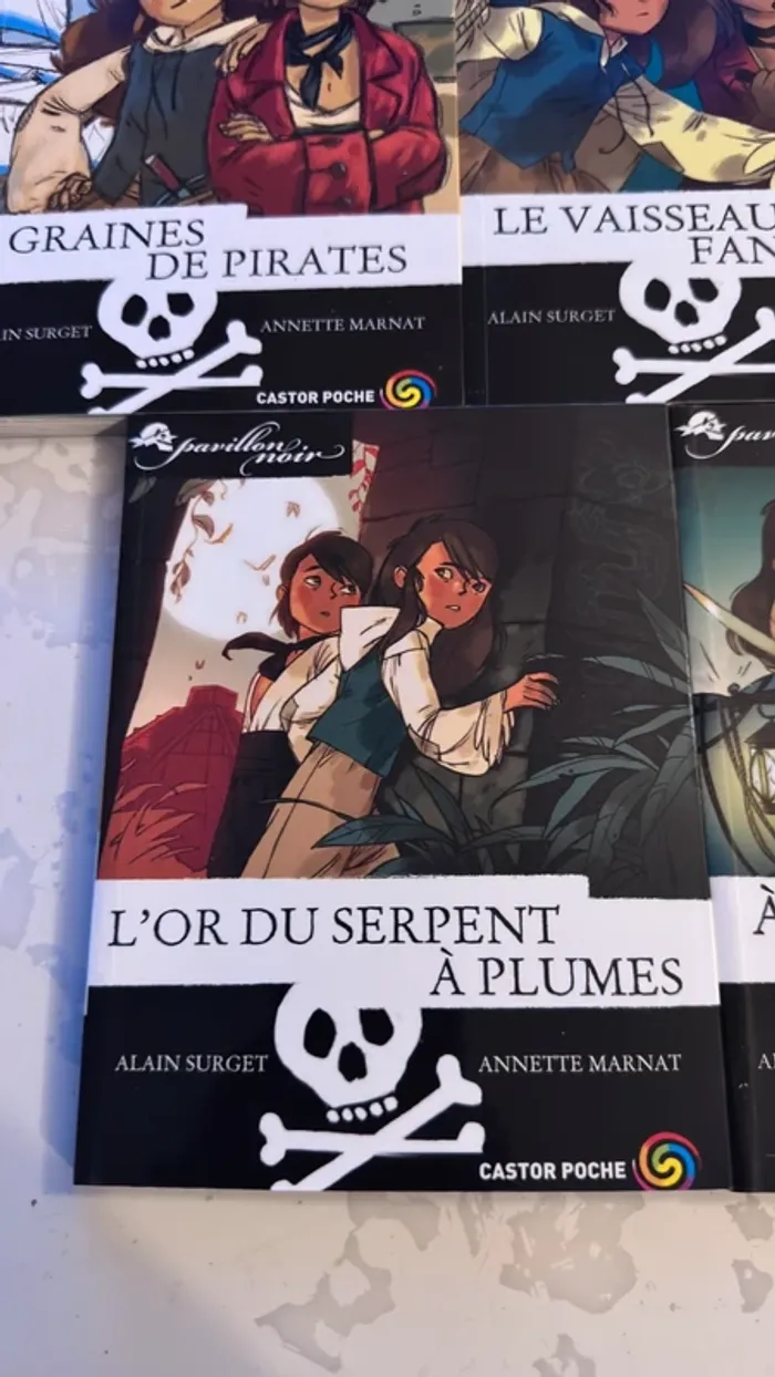 📚 Lot complet – Collection Les Frères Faucons 5 tomes – Alain Surget / Annette Marnat - photo numéro 11