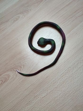 Serpent