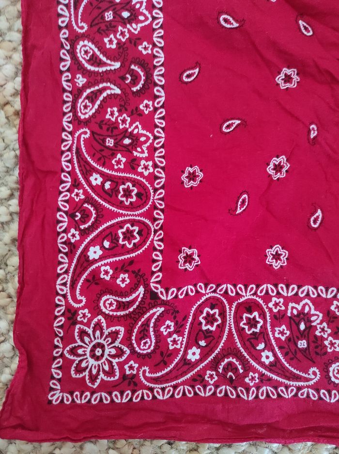 Bandana - photo numéro 2