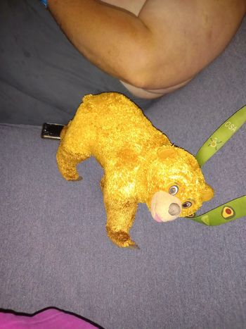 Peluche frère des ours 35cm env