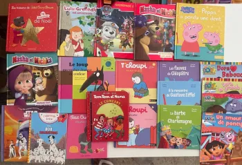Lot de livres idéal enfant à partir de 3 ans en bon état petit ours brun masha j’apprends à lire
