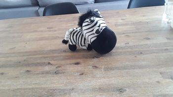 Peluche zèbre