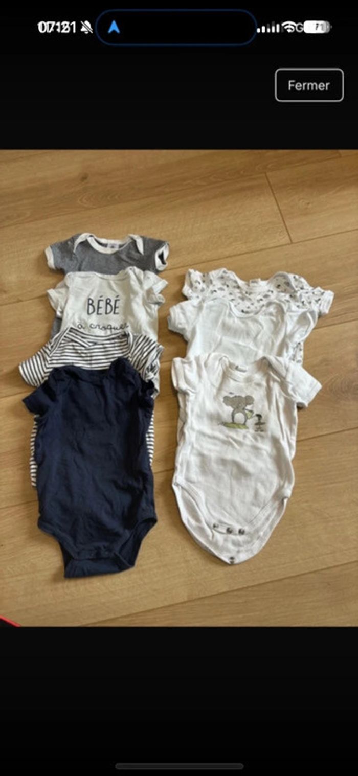 Lot 7 bodies