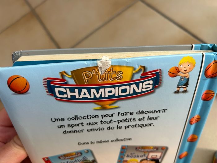 Lots 7 livres « P’tit Garçon / Champions » - photo numéro 7
